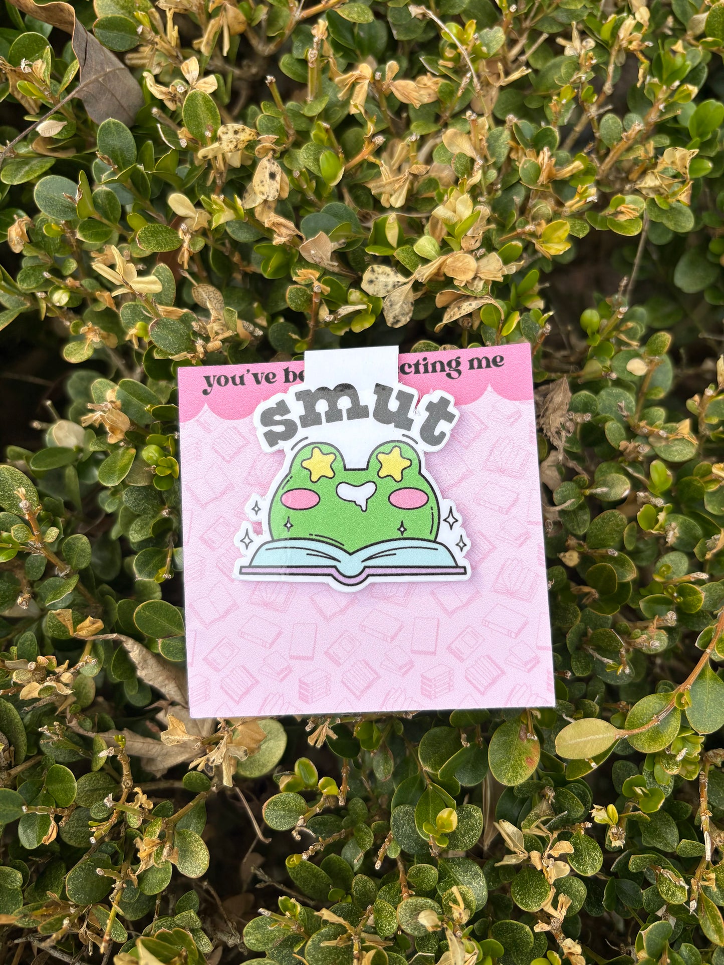 smut frog