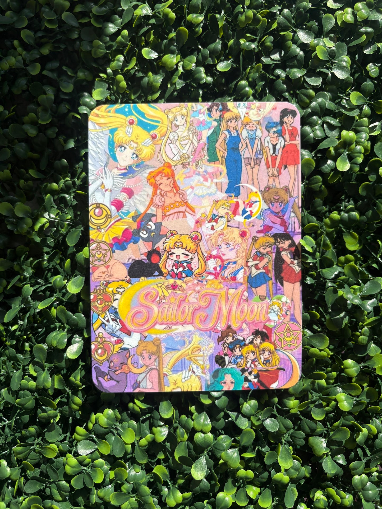 Sailor Moon