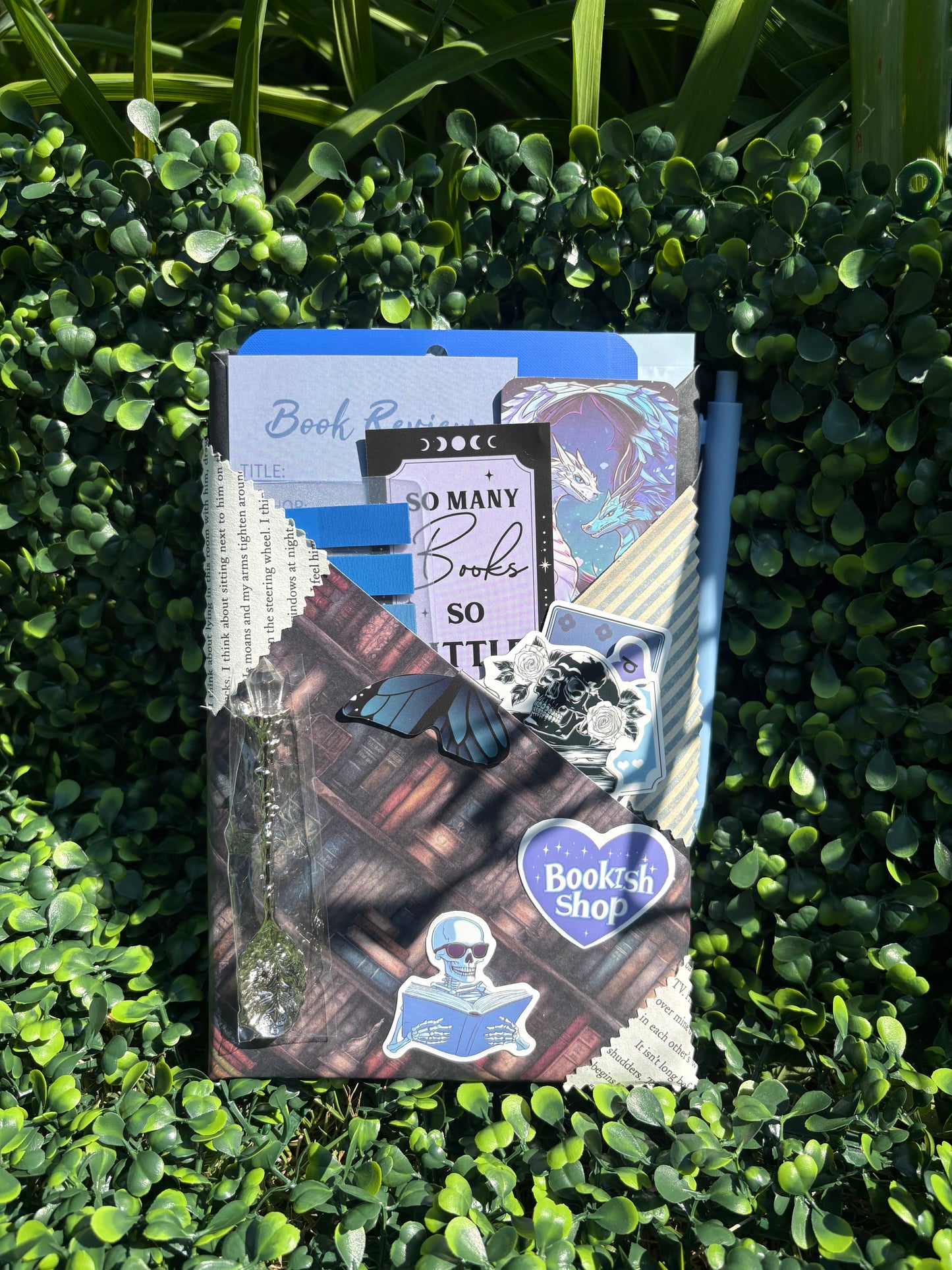 Blind Date With a Book - Custom